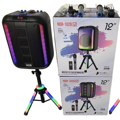 Haut-Parleur Sans Fil Portable 12 Pouces Avec Basses Puissantes Pour Dîner En Plein Air NDR-102A
