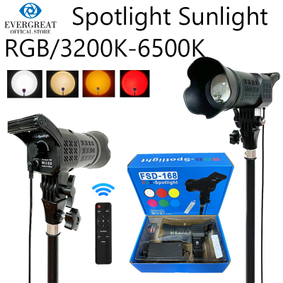 Projecteur LED RGB FSD-168 Spotlight Avec Télécommande Et Luminosité Réglable