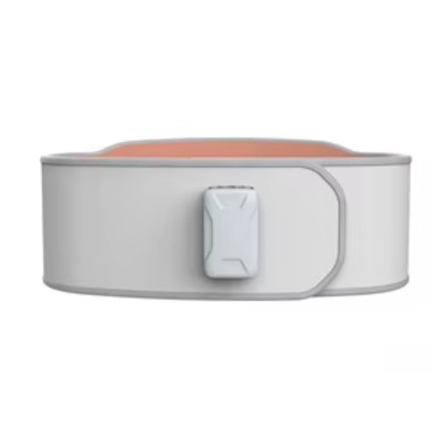 Smart Waist Massager Smart Waist Massager
