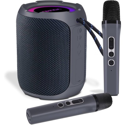 Système Karaoké Portable IPMAX SK07 Pro Avec 2 Microphones Sans Fil